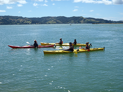 Matakohe / Limestone Island Historical Eco Tour